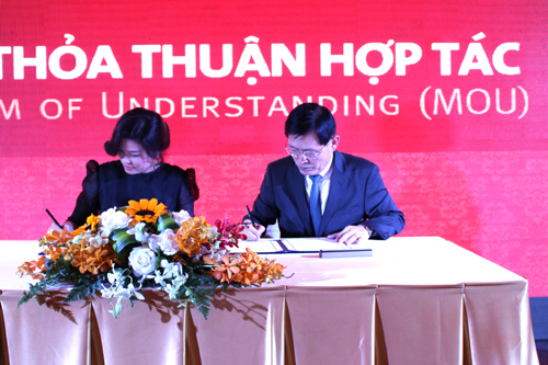 Cuối năm coi chừng nhân sâm rởm! ảnh 1